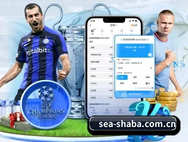 从此观赛更有深度